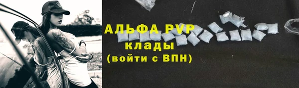 ПСИЛОЦИБИНОВЫЕ ГРИБЫ Балабаново