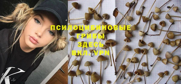 винт Балахна