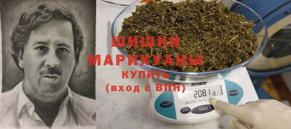 ПСИЛОЦИБИНОВЫЕ ГРИБЫ Балабаново