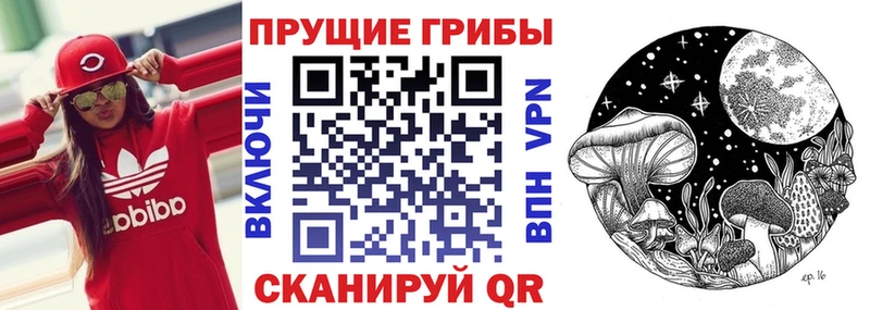 где купить наркоту  omg маркетплейс  Псилоцибиновые грибы мицелий  Гаврилов-Ям 