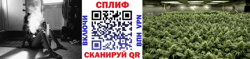 купить закладку  Гаврилов-Ям  Бошки Шишки THC 21% 